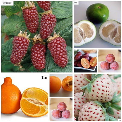 fructe-hibride-de-care-poate-nu-ai-auzit-niciodata